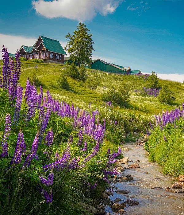 The Khyber Himalayan Resort &amp; Spa