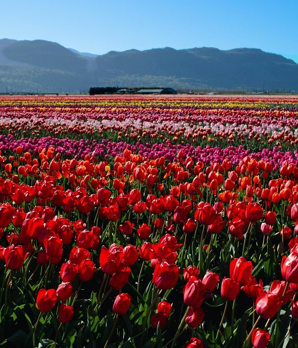 The Orchard Retreat & Spa