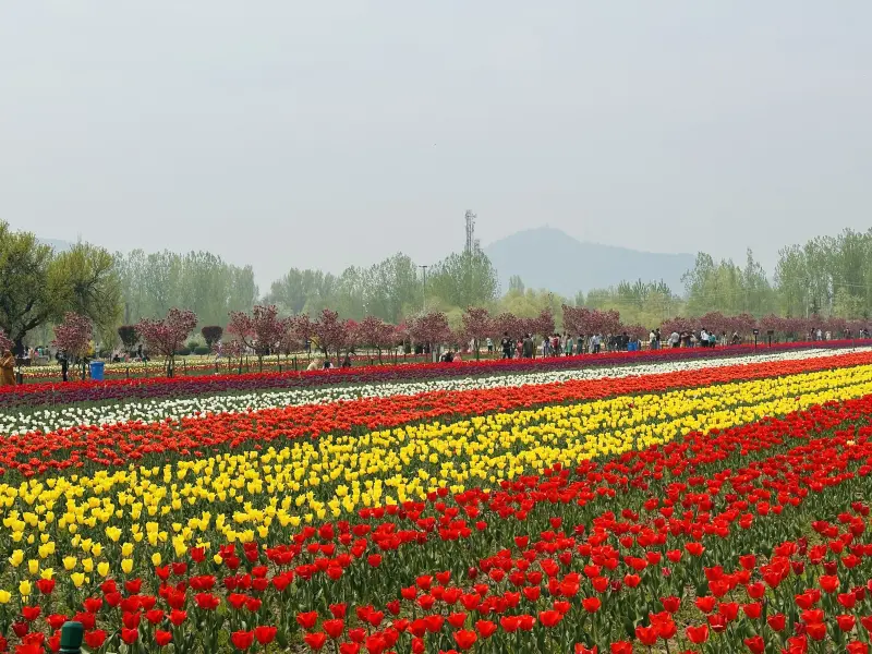 Family Delight - Paradise Valley Explorer