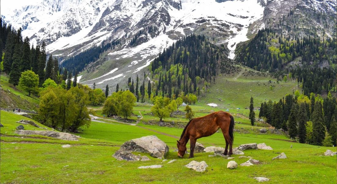 Ultimate Kashmir - The Grand Himalayan Odyssey